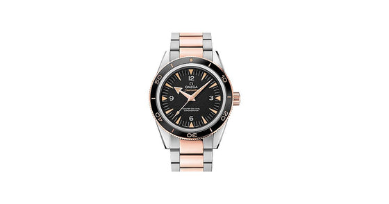 Omega Seamaster 300 Master Co-Axial Chronometer 41mm Steel/Sedna Gold Black Dial Bracelet 233.20.41.21.01.001 - BRAND NEW