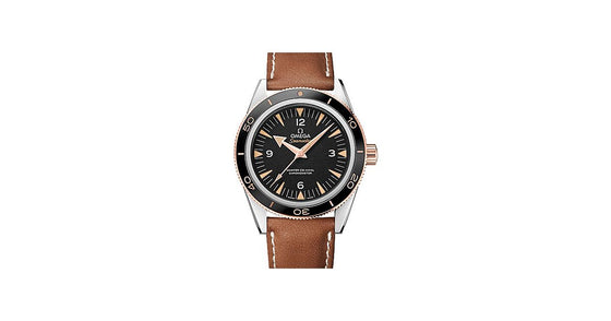 Omega Seamaster 300 Master Co-Axial Chronometer 41mm Steel/Sedna Gold Black Dial Leather Strap 233.22.41.21.01.002 - BRAND NEW