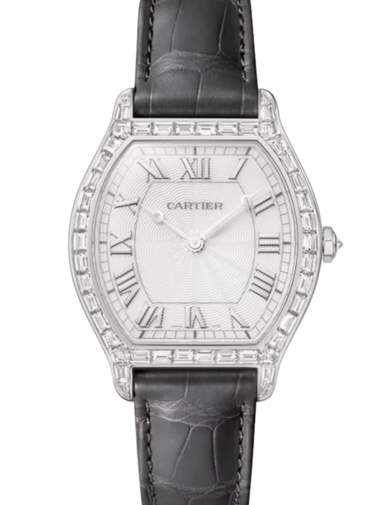 Cartier Tortue Large Platinum Silver Dial HPI01830