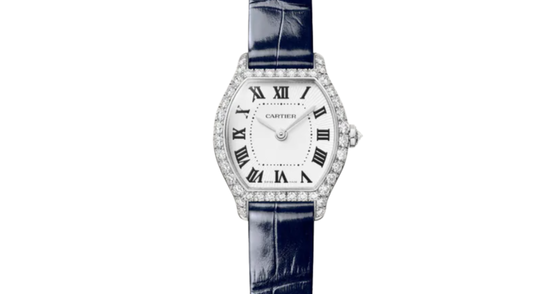 Cartier Tortue Mini White Gold Diamond Paved WJTO0013
