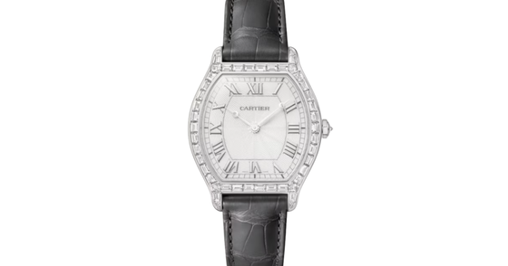 Cartier Tortue Large Platinum Silver Dial HPI01830