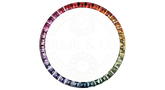 Bizak & Co. logo