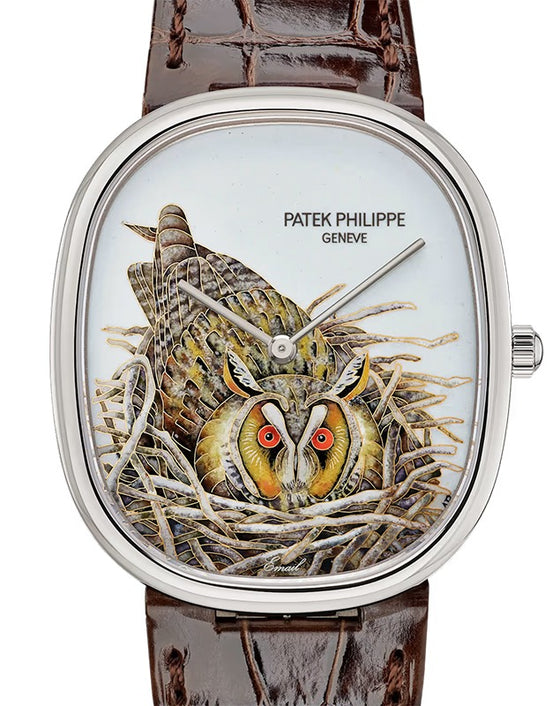 Patek Philippe Rare Handcrafs Golden Ellipse "Brown Owl" White Gold 5738/50G-049 - BRAND NEW