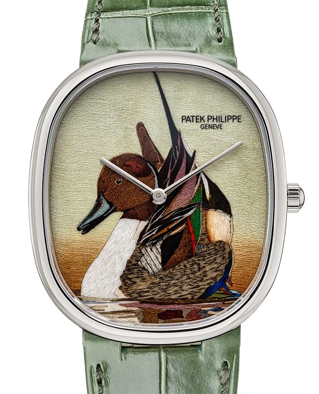 Patek Philippe Rare Handcrafs Golden Ellipse "Northern Pintail" White Gold 5738/50G-047 - BRAND NEW