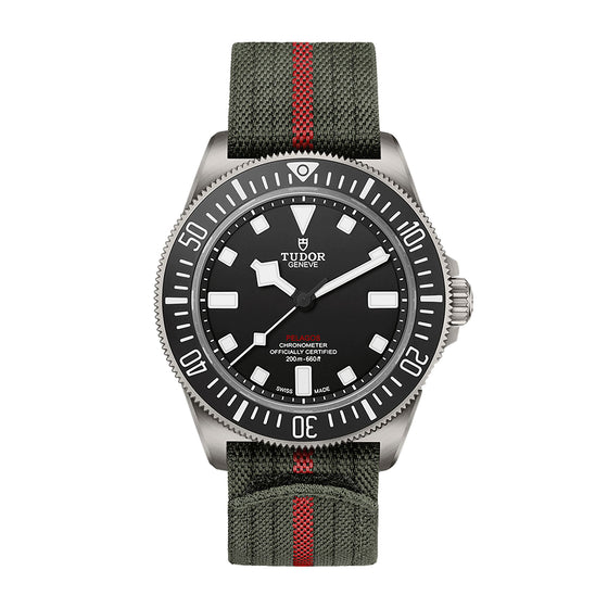 Tudor Sport Watches Pelagos FXD Titanium 42mm Black Dial M25717N-0001