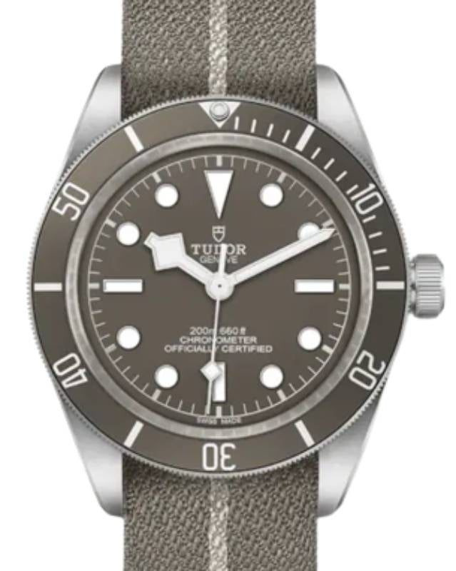 Tudor Black Bay 58 925 Silver 39mm Taupe Dial Fabric Strap M79010SG-0002