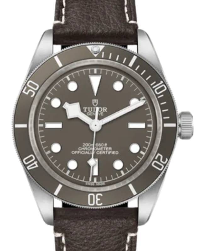Tudor Black Bay 58 925 Silver 39mm Taupe Dial Leather Strap M79010SG-0001