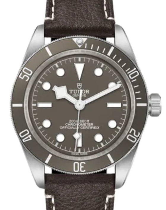 Tudor Black Bay 58 925 Silver 39mm Taupe Dial Leather Strap M79010SG-0001