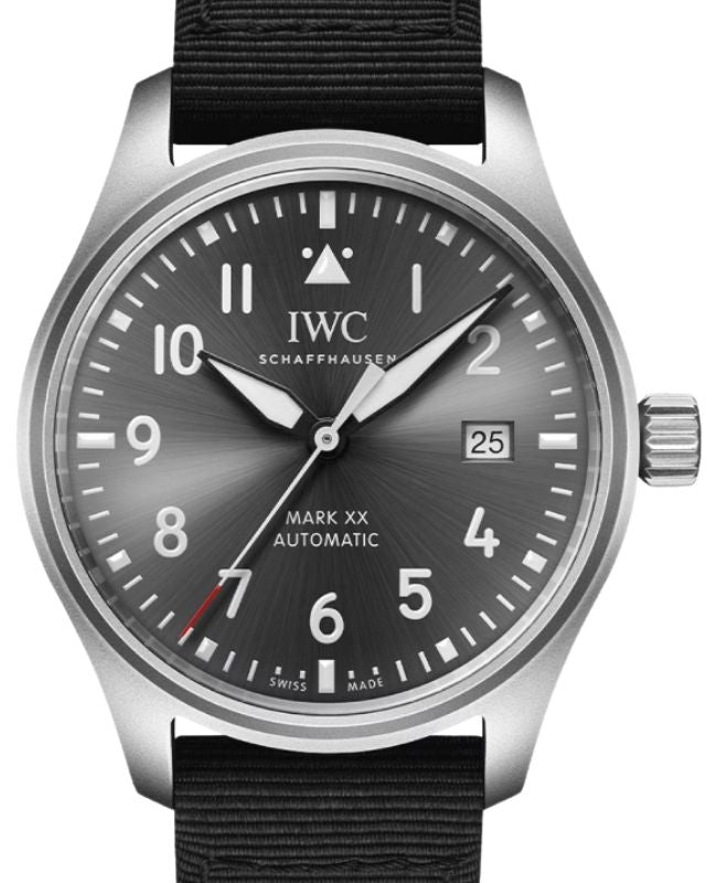 IWC Pilot's Watch Mark XX Patrouille Suisse Titanium 40mm Grey Dial IW328209 - BRAND NEW